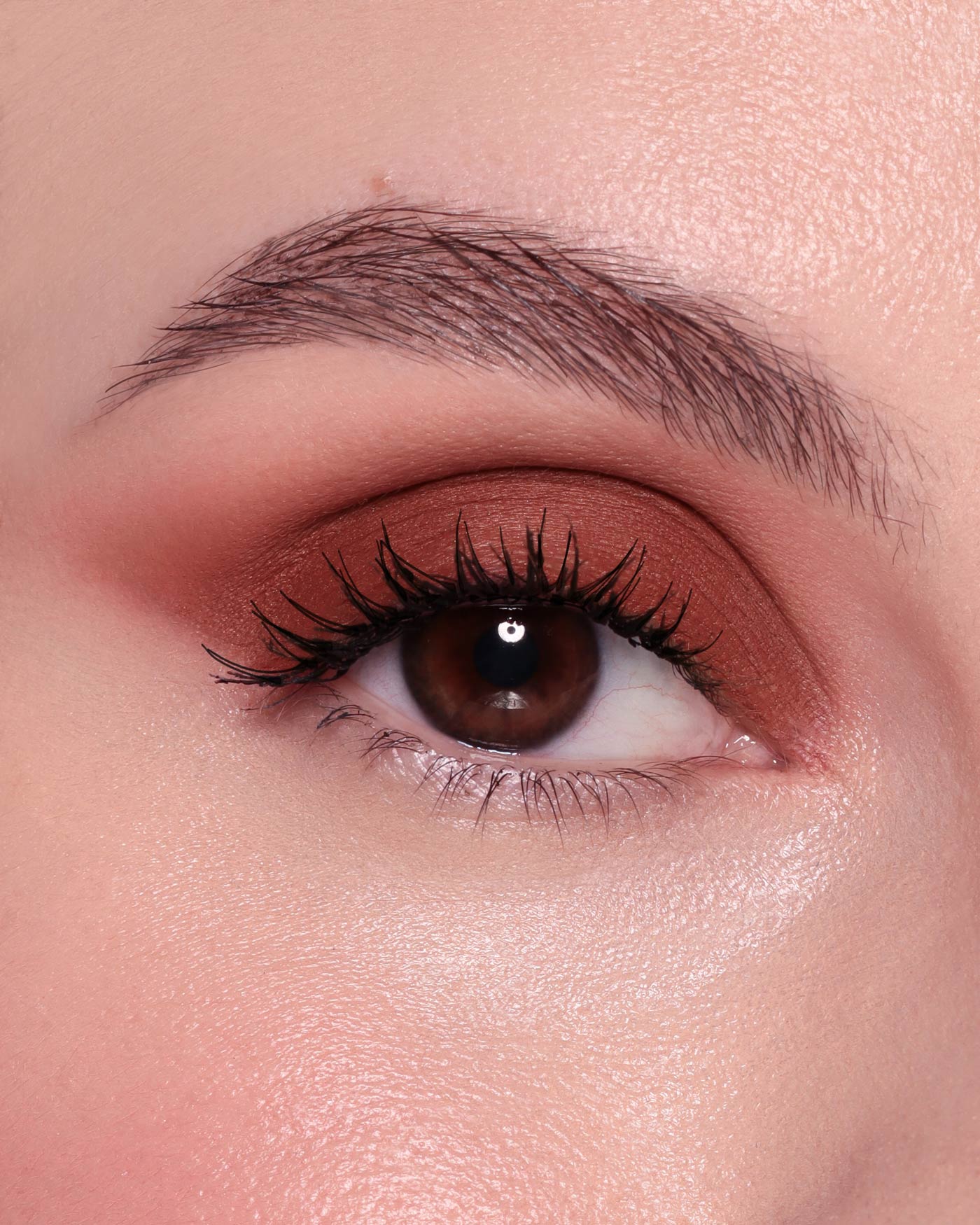 CHROMO THERAPY LIQUID EYESHADOW MAT FINISH - 06 - V.R. Vein - Astra Make-Up